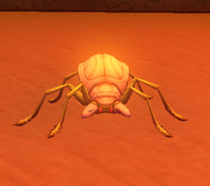 Guardian Scarab